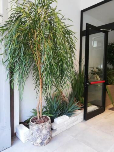 Allestimento fiori e piante artificiali presso ristorante coreano Soon centro Bologna 1