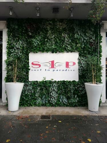 Allestimento giardino verticale artificiale da esterno presso negozio abbigliamento Surf In Paradise di Parma