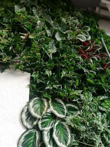 Allestimento giardino verticale artificiale da esterno presso negozio abbigliamento Surf In Paradise di Parma 4