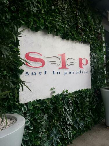 Allestimento giardino verticale artificiale da esterno presso negozio abbigliamento Surf In Paradise di Parma