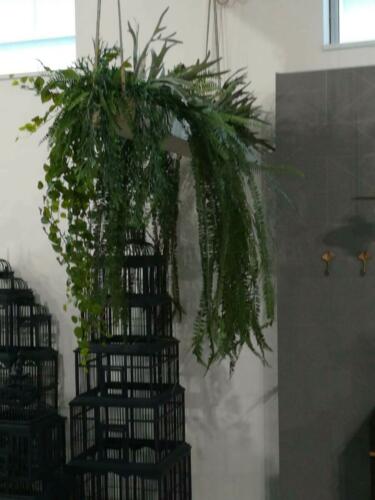 Allestimento in collaborazione con Studio Step Architettura di Pordenone