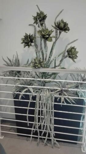 Allestimento presso Azienda di Fiorano Modena sede aziendale