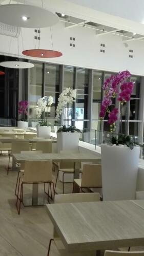 Allestimento presso Sushiko Mondo Juve di Torino