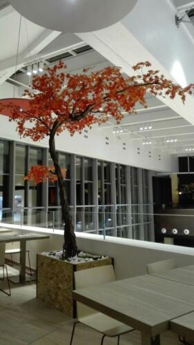 Allestimento presso Sushiko Mondo Juve di Torino