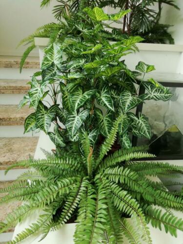 Allestimento presso ingresso di Villa Privata Carpi Modena