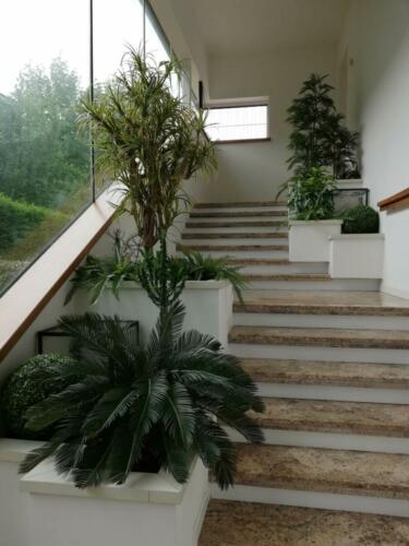 Allestimento presso ingresso di Villa Privata Carpi Modena