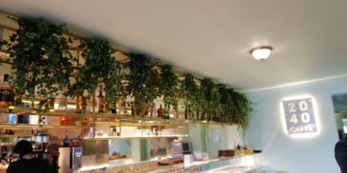 Allestimento fiori e piante artificiali bar ristorante risto-bar Olgiata Roma