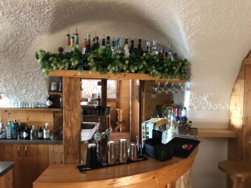 Allestimento fiori, piante e luppoli artificiali bancone pub birreria Al Voltabot di Folgaria