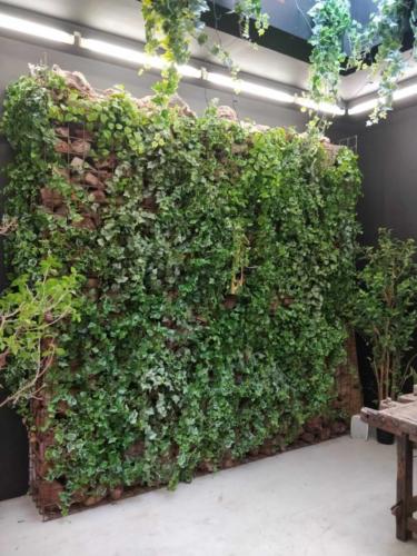 Allestimento fiori, piante artificiali presso Studio Architettura Atelier .0 a Trastevere Roma