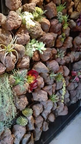 Allestimento fiori, piante artificiali presso Studio Architettura Atelier .0 a Trastevere Roma