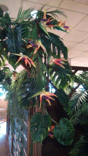 Allestimento fiori, piante artificiali presso Porca Polenta Ristorante a Reggio Emilia con piante tropicali