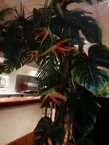 Allestimento fiori, piante artificiali presso Porca Polenta Ristorante a Reggio Emilia con piante tropicali