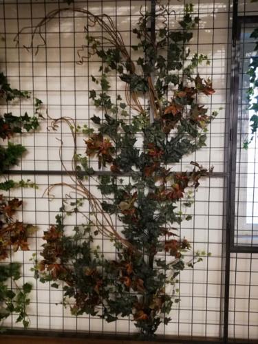 Allestimento fiori, piante artificiali presso Katane' Sapori Siciliani pasticceria siciliana a Tiburtina Roma viti e liane rampicanti