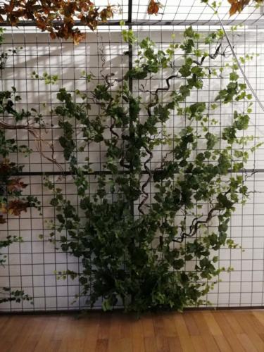 Allestimento fiori, piante artificiali presso Katane' Sapori Siciliani pasticceria siciliana a Tiburtina Roma viti e liane rampicanti