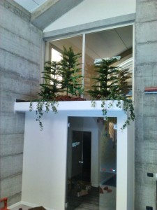 Allestimento fiori, piante artificiali presso palestra di Reggio Emilia