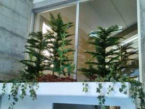 Allestimento fiori, piante artificiali presso palestra di Reggio Emilia