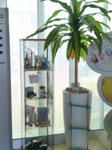 Allestimento fiori, piante artificiali presso palestra di Reggio Emilia