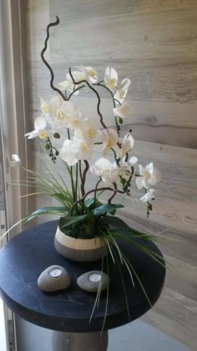 Allestimento fiori, piante artificiali SPA Monticelli Terme