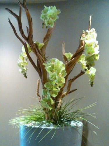 Allestimento fiori, piante artificiali SPA Monticelli Terme