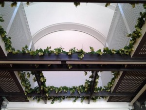 Allestimento fiori, piante artificiali presso Pub Birreria a Fano con luppoli artificiali 