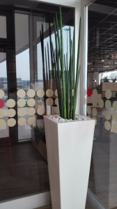 Allestimento fiori, piante artificiali Sushiko ristorante giapponese all you can eat 