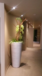 Allestimento fiori, piante artificiali SPA Centro Benessere a Monticelli Terme di Parma
