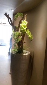 Allestimento fiori, piante artificiali SPA Centro Benessere a Monticelli Terme di Parma