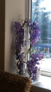 Allestimento fiori, piante artificiali SPA Centro Benessere a Monticelli Terme di Parma