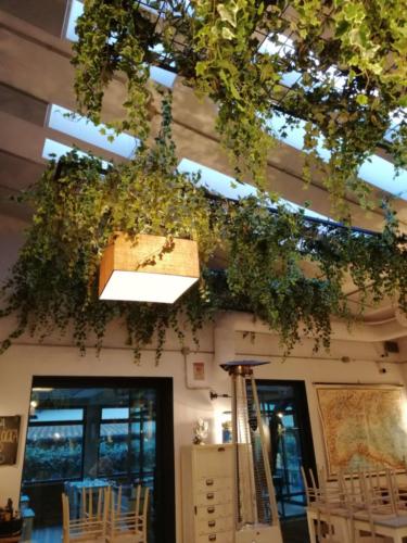 Allestimento fiori, piante artificiali presso Ristorante a Olgiata di Roma con piante cadenti in sospensione su soffitto