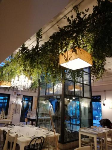 Allestimento fiori, piante artificiali presso Ristorante a Olgiata di Roma con piante cadenti in sospensione su soffitto