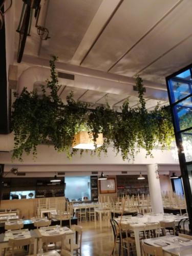 Allestimento fiori, piante artificiali presso Ristorante a Olgiata di Roma con piante cadenti in sospensione su soffitto
